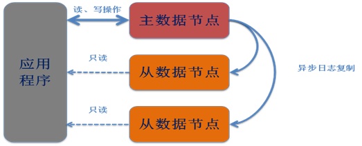 分区组结构