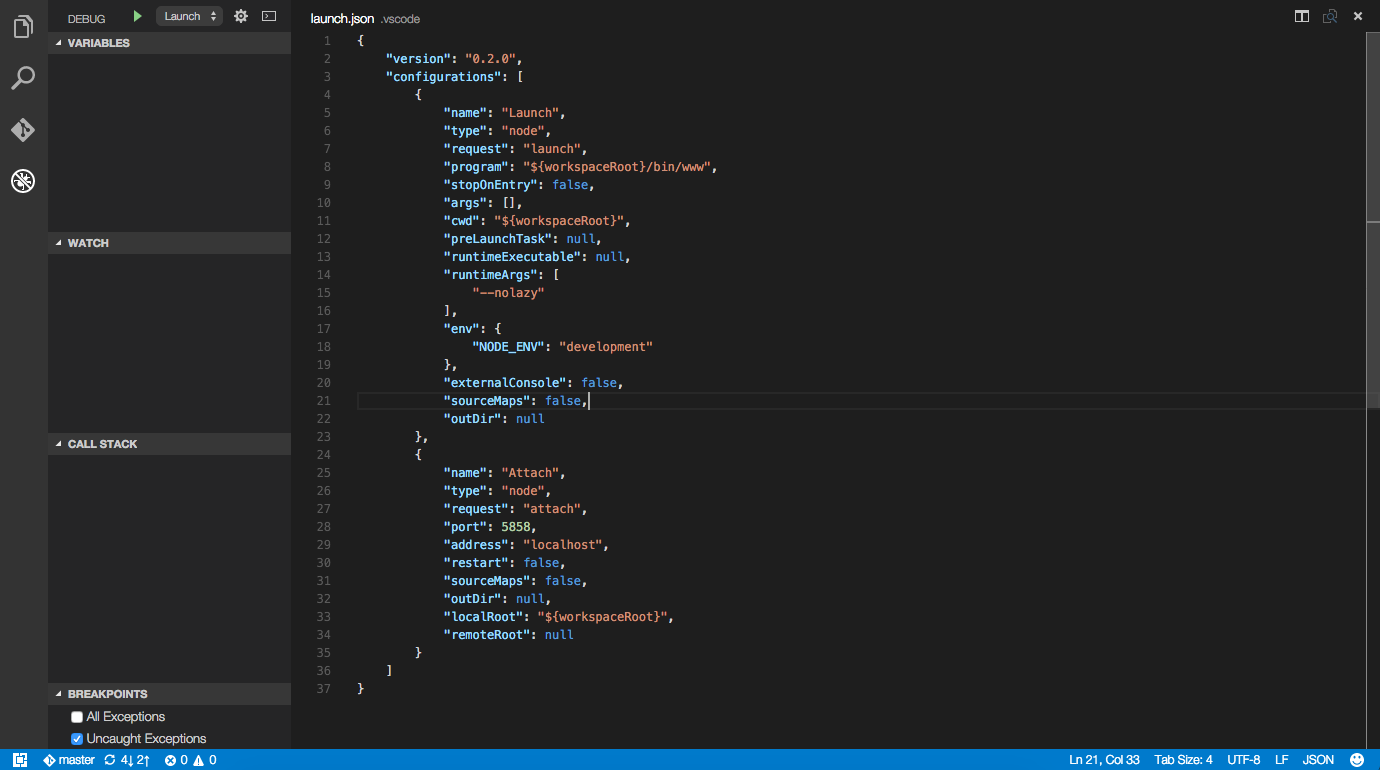 launch.json configuration file